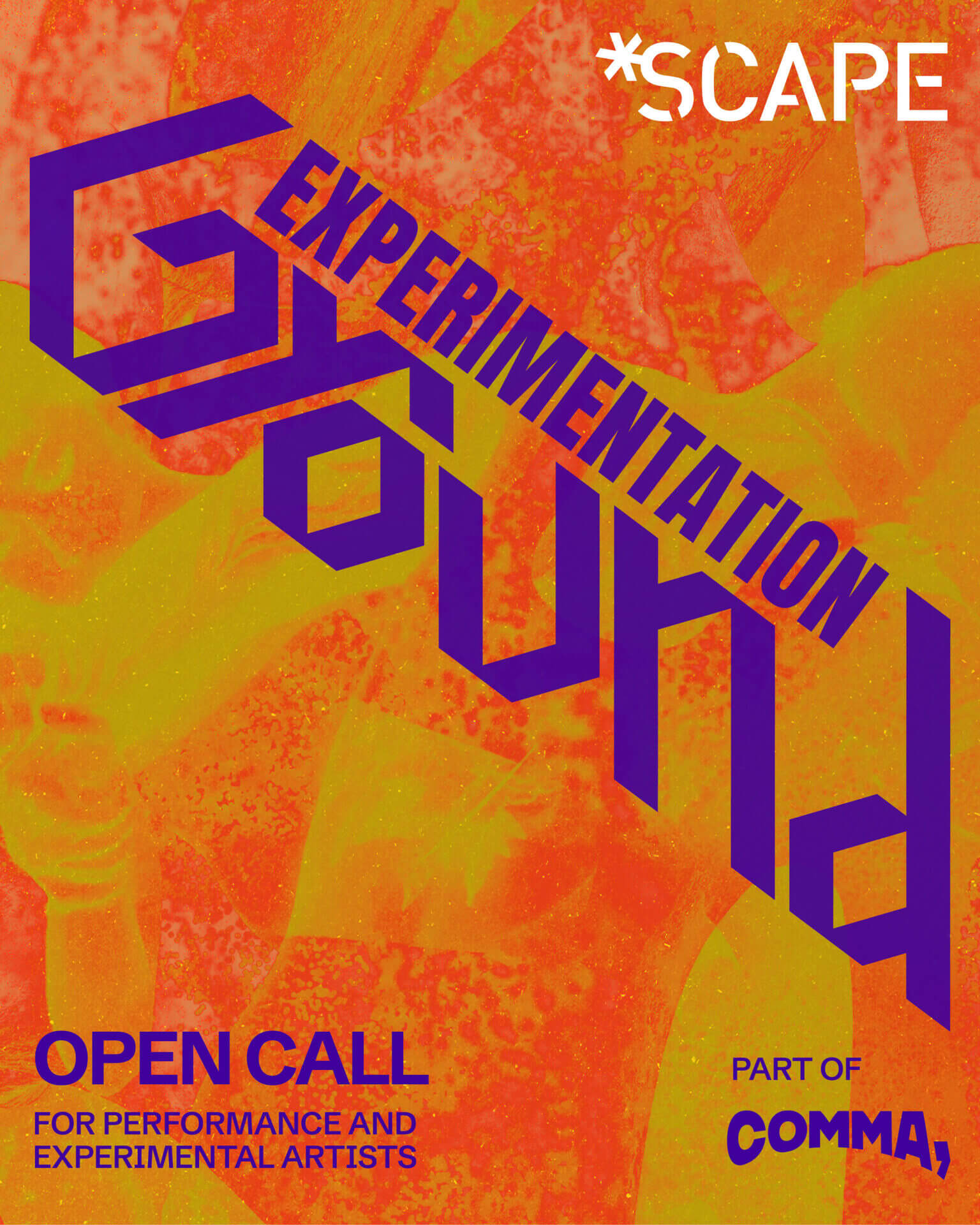 Experimentation Ground 2025